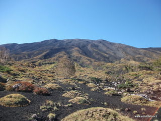 rrente Quarantore-01-11-2012 11-02-20